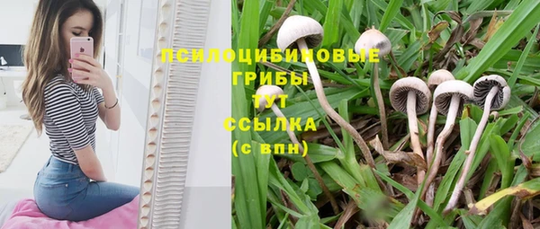 экстази Алзамай