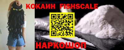 гашик Аргун