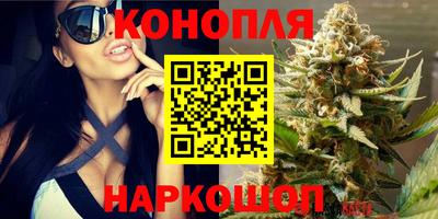 гашик Аргун