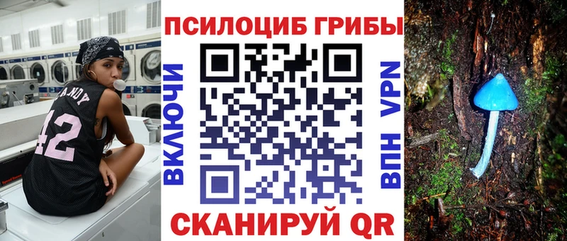 Псилоцибиновые грибы прущие грибы  Аргун 